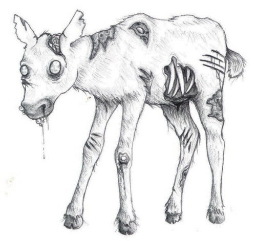 Zombie Calf!!