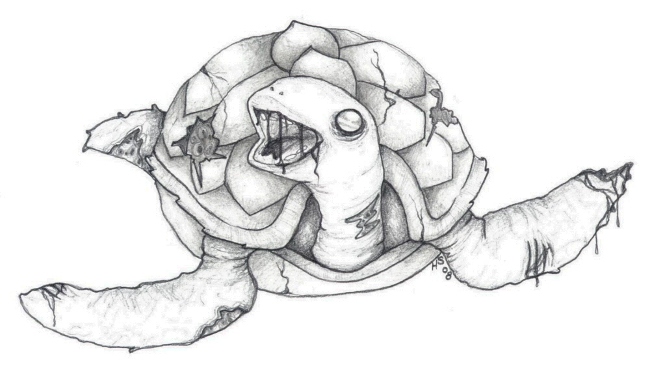 Zombie Turtle!!